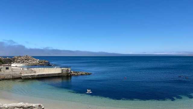 Pacific Grove beaches reopen days after great white shark attack - Vimarsana News