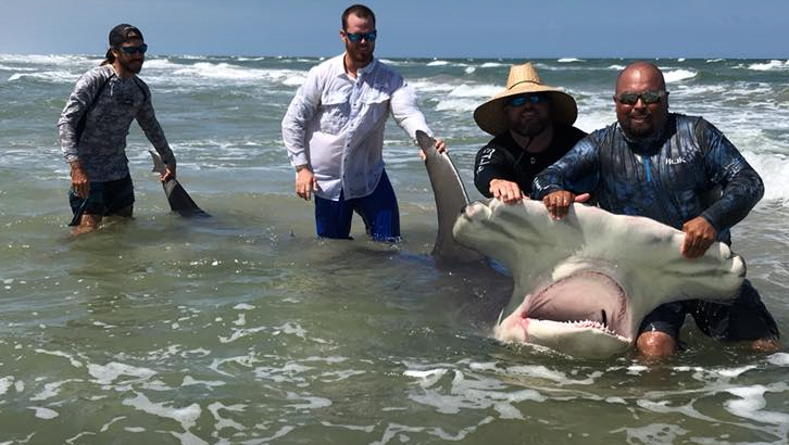 Fisherman takes pictures with 14-foot shark he 'only dreamed' of catching