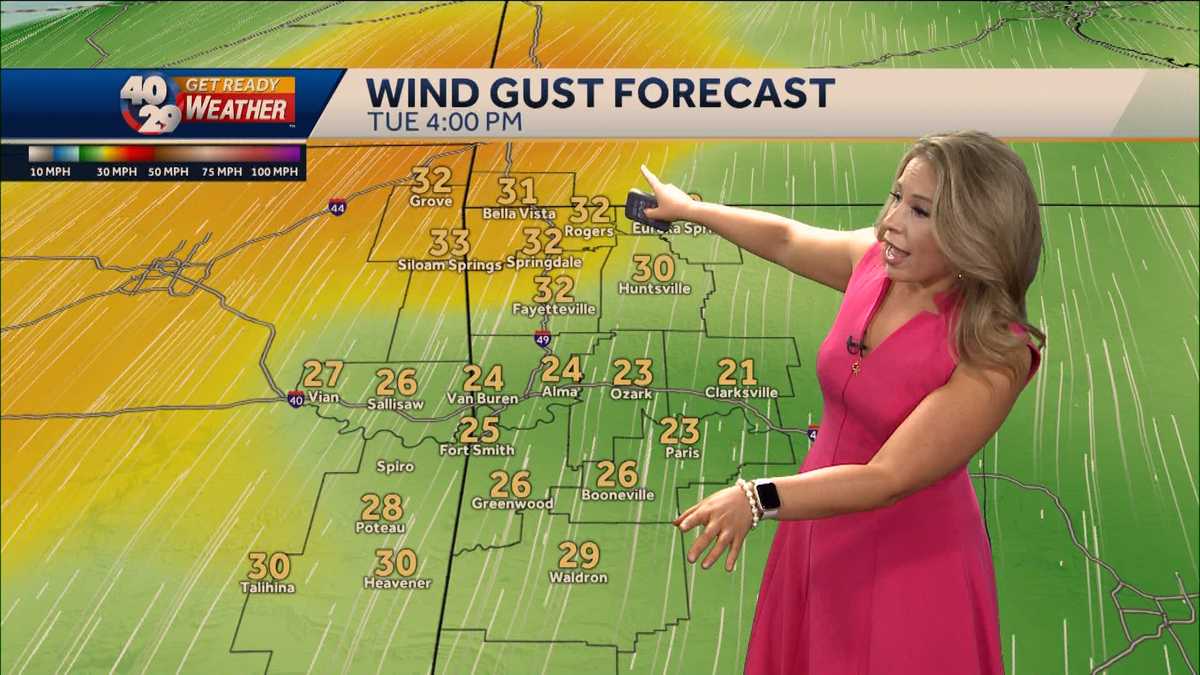 Warm and windy with high fire danger