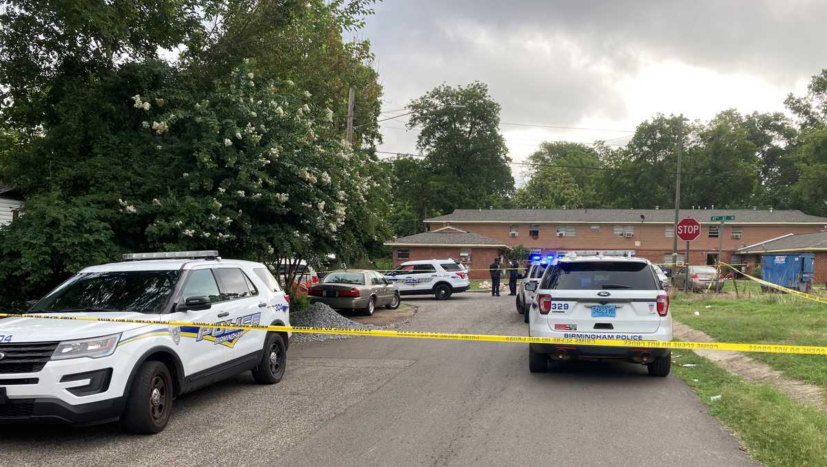 Birmingham police investigating a shooting in the Kingston area