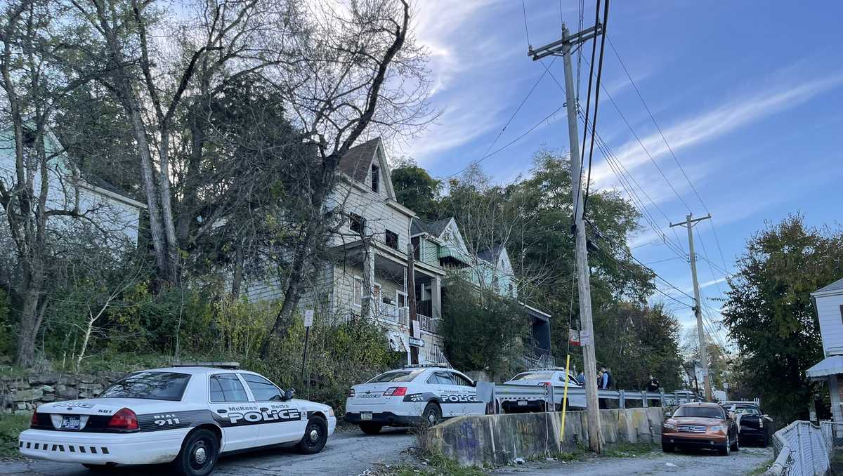 McKees Rocks shooting victim dies, police confirm