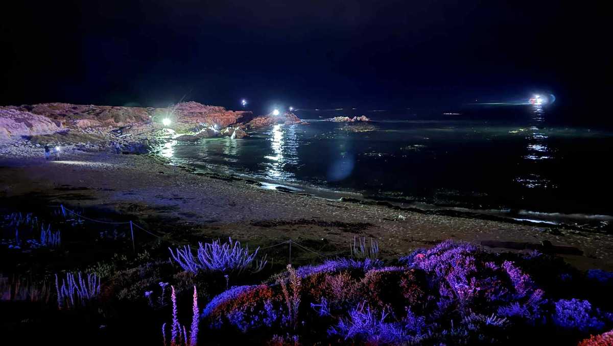 Three Dead in Small Plane Crash Off California Coast