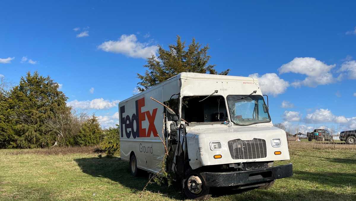 FedEx truck crash leads to death of pony