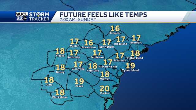 Savannah: Cold blast hits this weekend, touch of spring next week - Vimarsana News