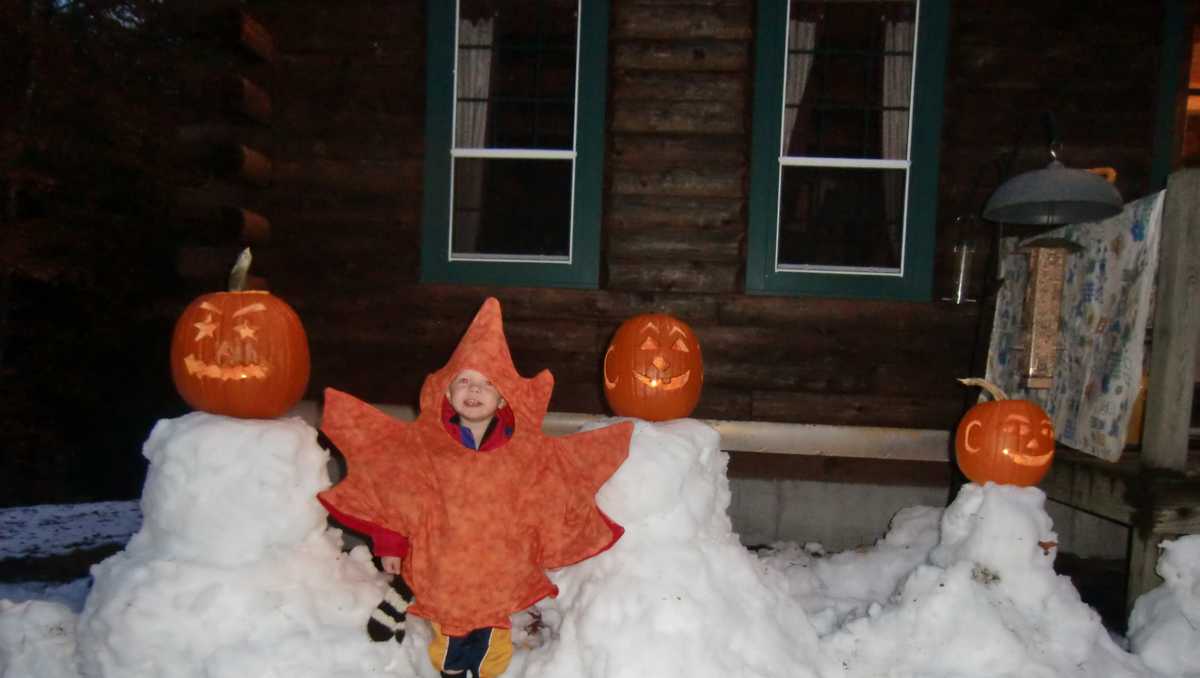 Photos The Halloween snowstorm Snowtober 2011