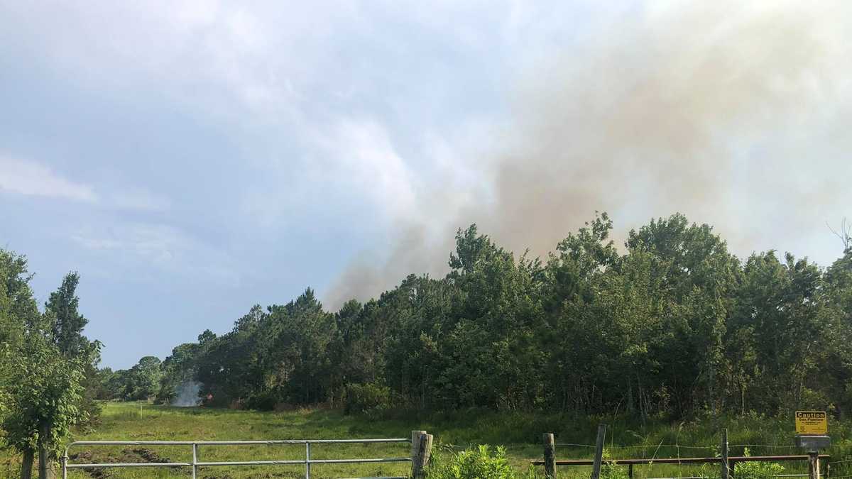 Brush fire in Fellsmere shuts down road