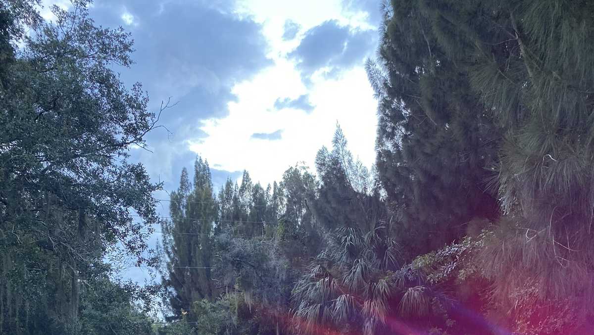 Fellsmere Human remains identified as missing person