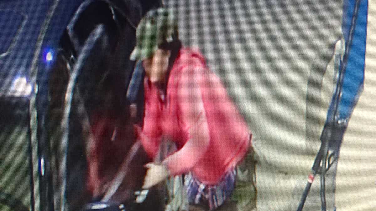 Montevallo police seek duo accused of stealing car with toddler inside
