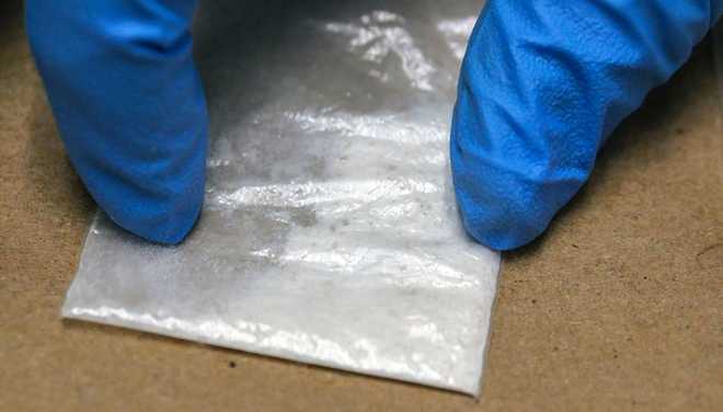 Fentanyl File Fentanyl File