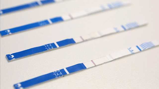 New York State expands access to fentanyl test kits - Vimarsana News