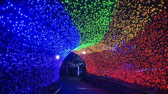 First look: Cincinnati Zoo Festival of Lights back and brighter than ever