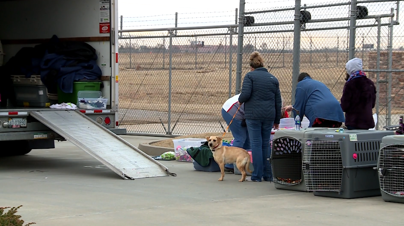 Oklahoma group flies shelter animals to Oregon - Vimarsana News