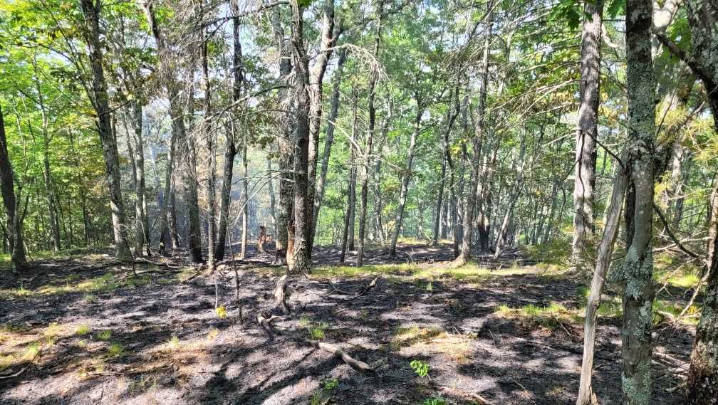 Crews monitoring forest fire following lightning strike in Parsonsfield