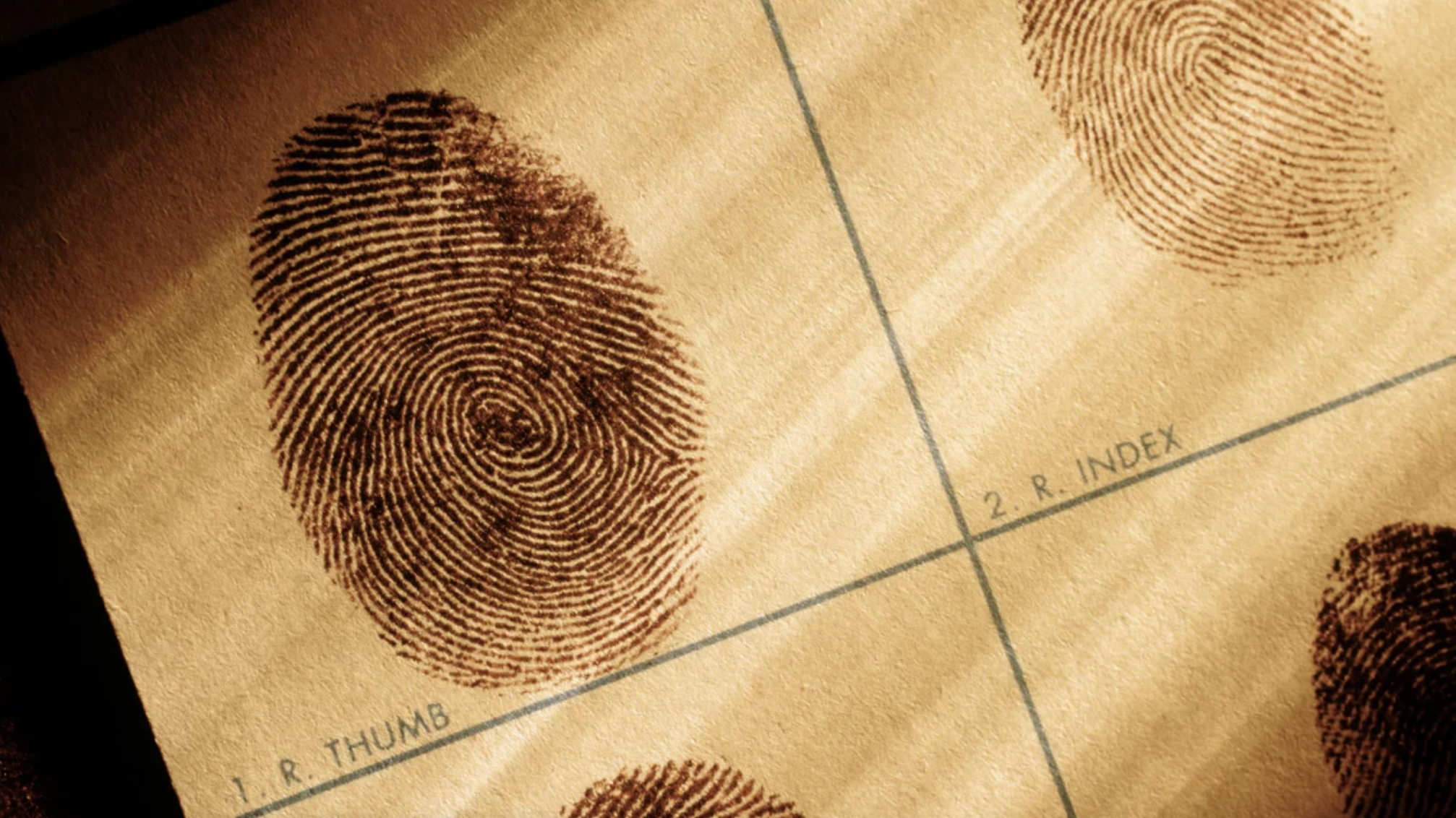 Are Fingerprints Unique? Not Really, AI-based Study Finds