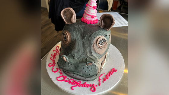 Busken Bakery creates stunning Fiona birthday cake - Vimarsana News