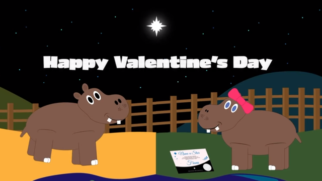 Fiona's admirer, Timothy, names star after her for Valentine's Day - Vimarsana News