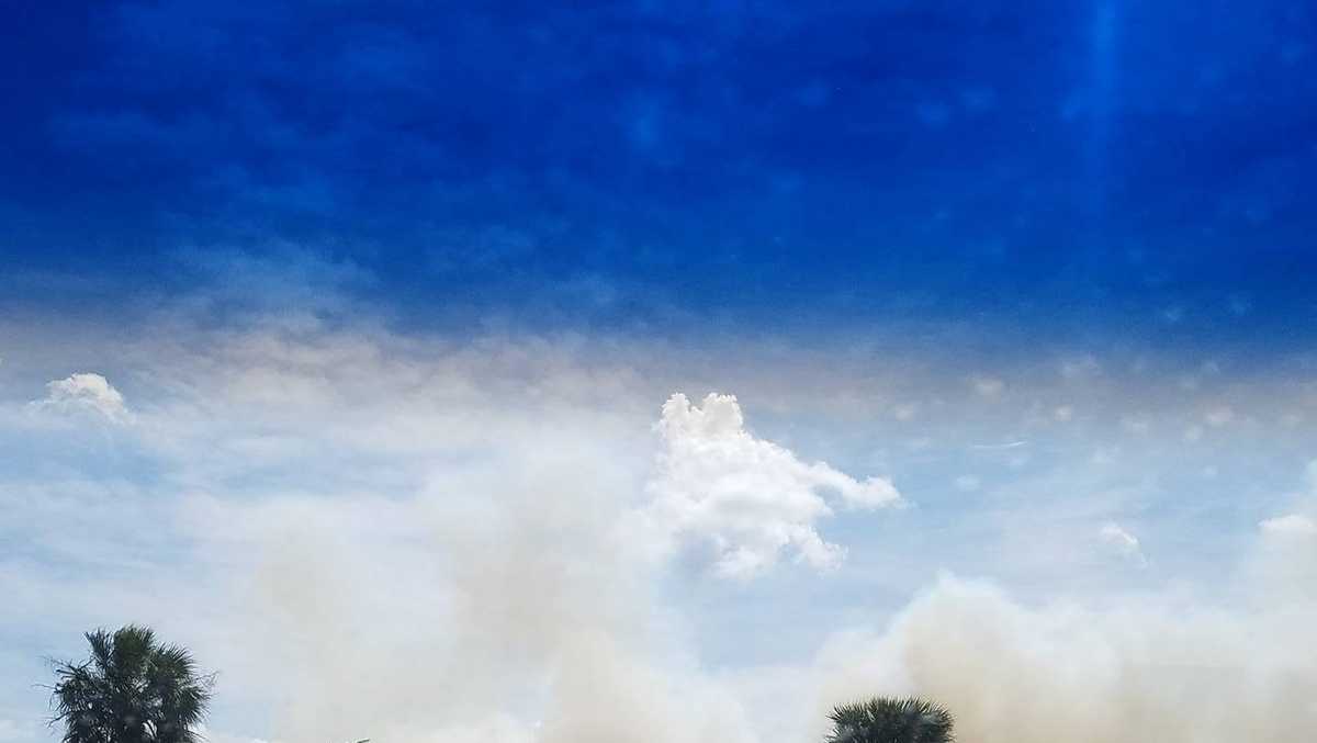 Photos: Crews battle Palm Beach Gardens brush fire