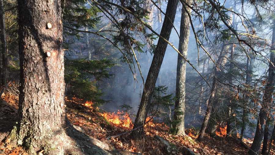 Images: White Mountain National Forest fires