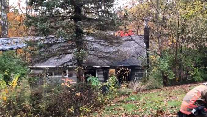 FD: 1 dog, 3 cats found dead after house fire in West Price Hill