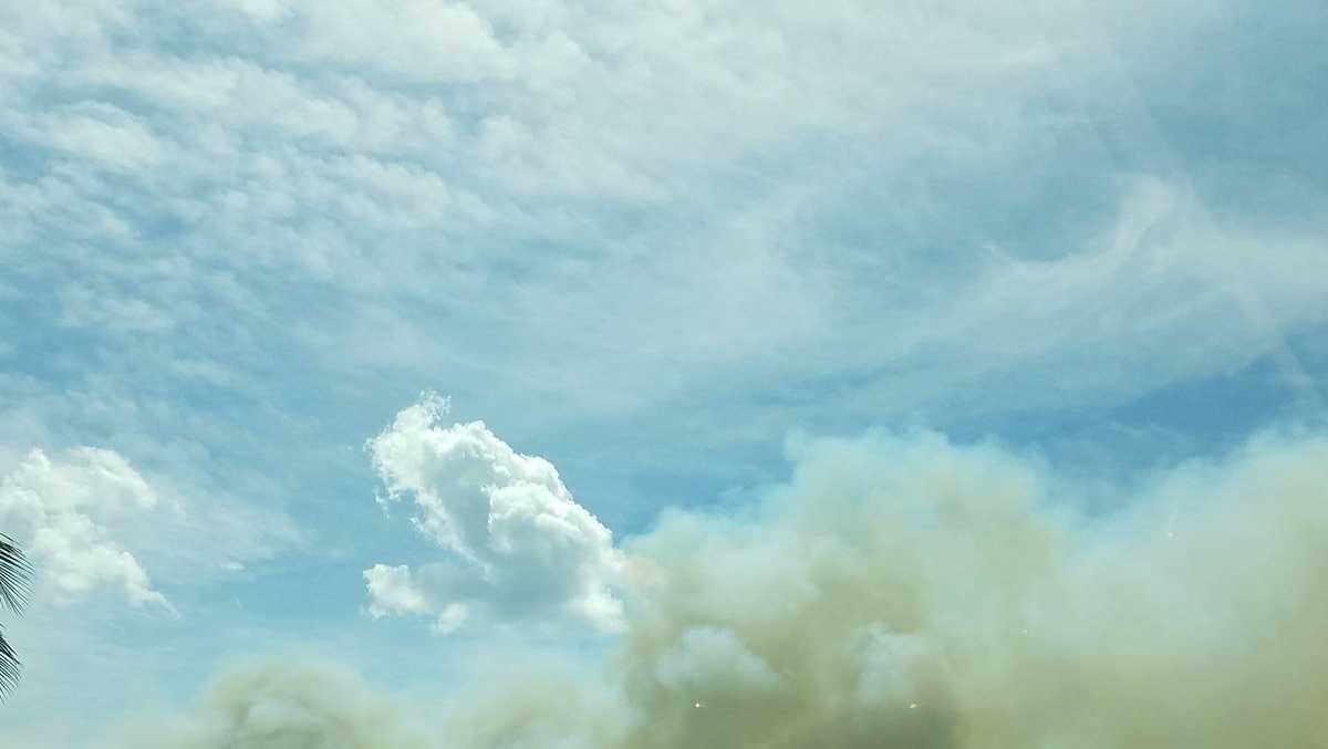Photos: Crews battle Palm Beach Gardens brush fire