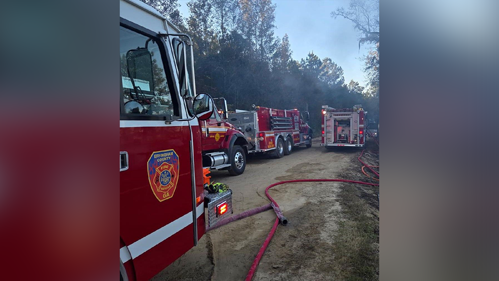 Elderly couple killed in Effingham County house fire - WJCL
