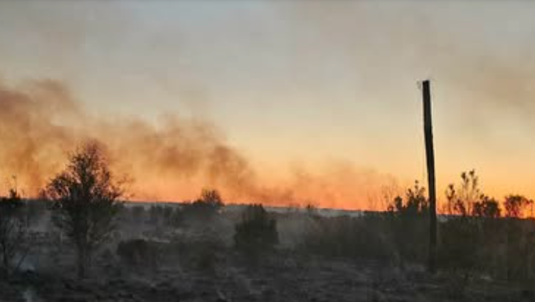 Brush fire contained in Okeechobee County