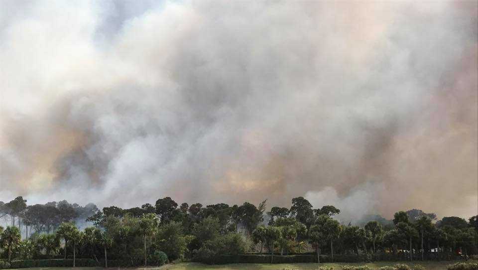 Photos: Crews battle Palm Beach Gardens brush fire