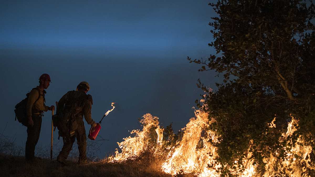 Wildfire Preparedness Guide: What to know to stay safe - Vimarsana News