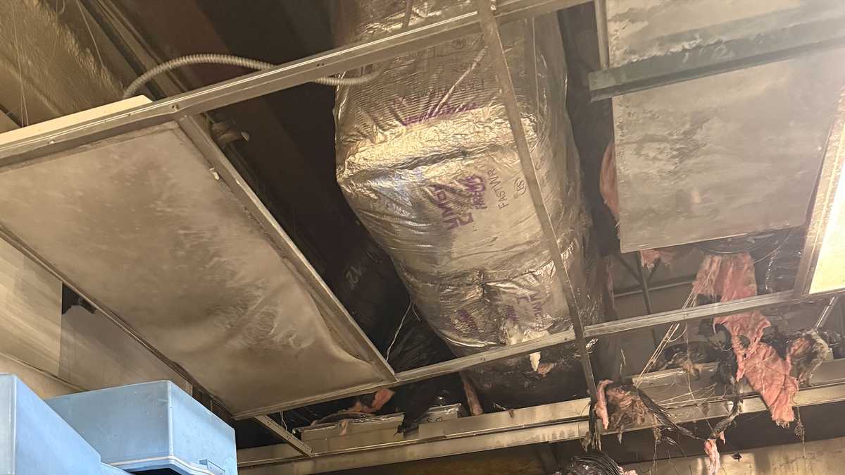 Milwaukee food business owner starting over after fire ruins kitchen