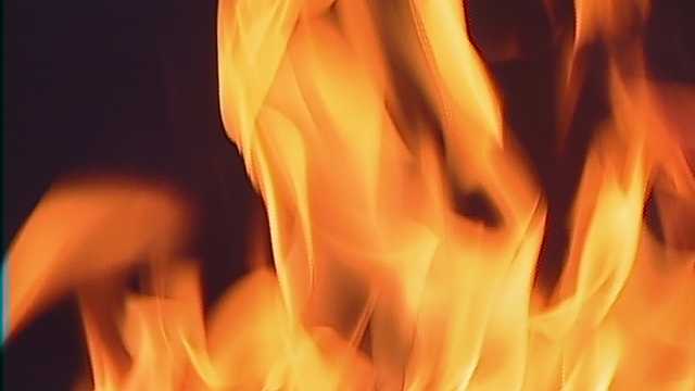 Santa Cruz police arrest suspected arsonist - Vimarsana News