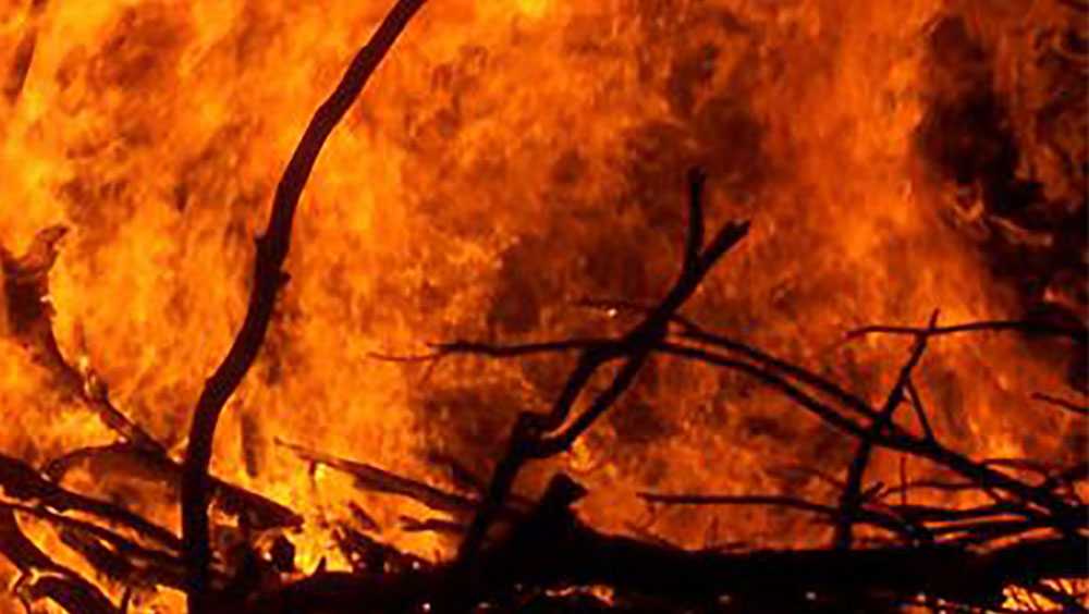 Outdoor burning discouraged this weekend in South Carolina