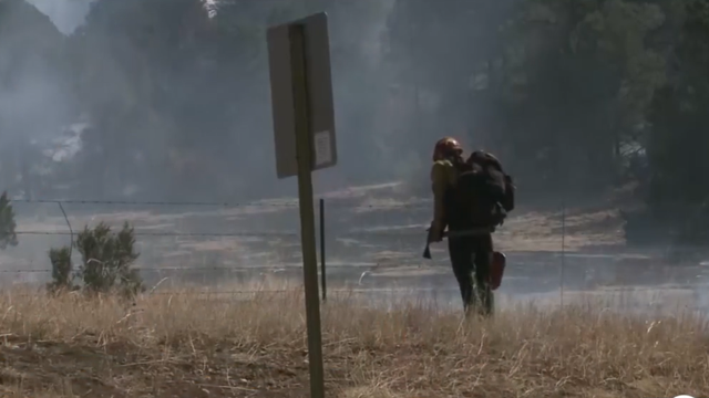 Crews establishing fire lines to contain Calf Canyon/Hermits Peak fire - Vimarsana News