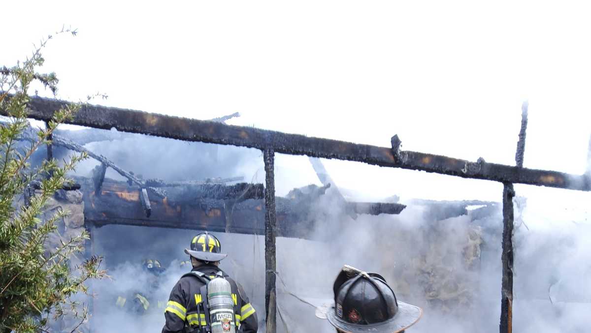 Fire crews Animals killed in Williston house fire