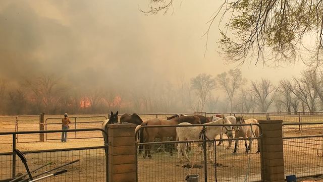 New Mexico, Valencia County wildfire forces evacuations - Vimarsana News