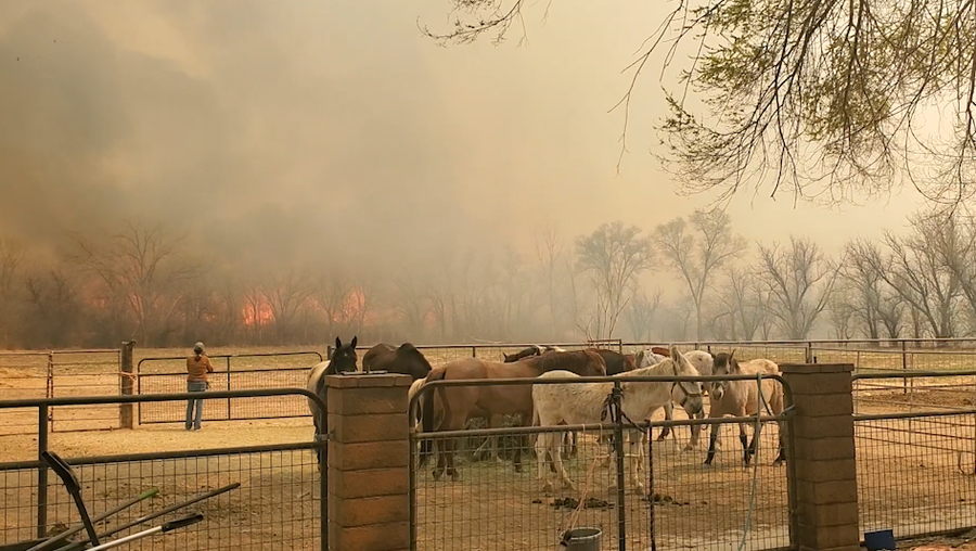 ﻿A fast-moving wildfire forced evacuations and burned homes on Monday in Valencia County.
