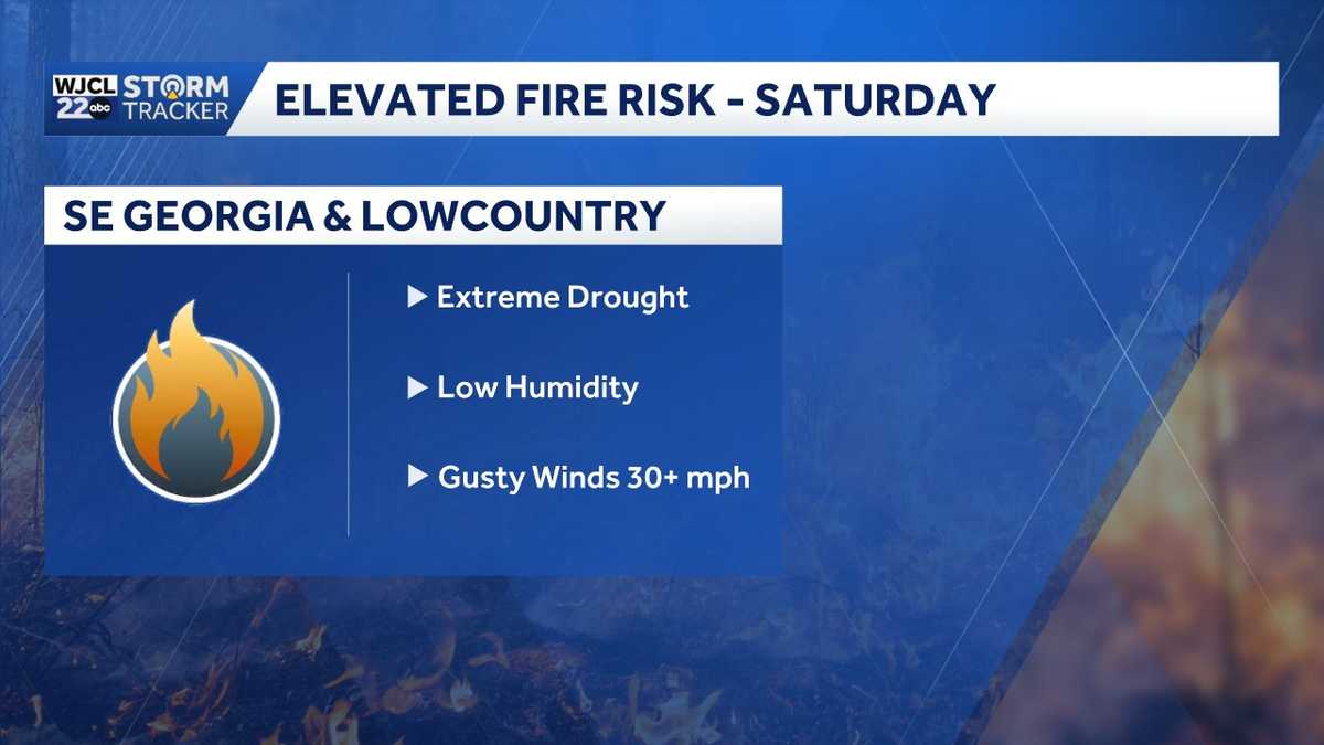 Elevated fire risk Saturday across Southeast Georgia, Lowcountry - WJCL