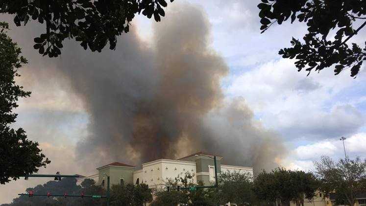 Photos: Crews battle Palm Beach Gardens brush fire