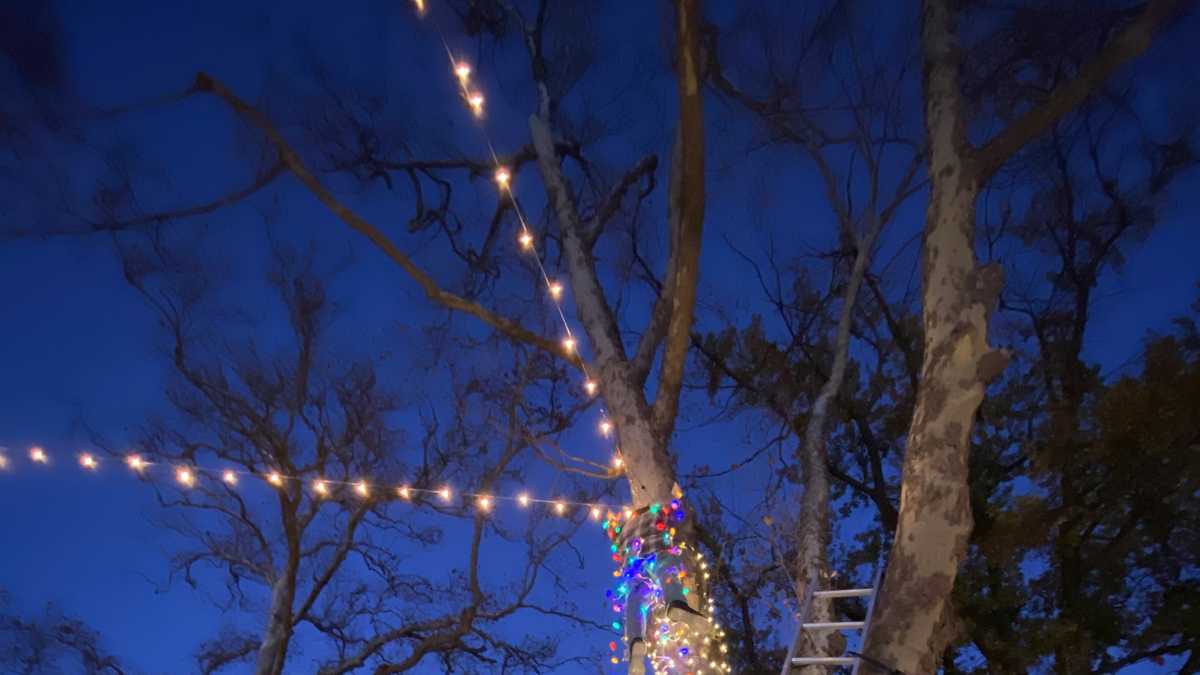 Sacramento Christmas lights Pictures from the Fab 40s