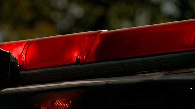 Woman critical, 2 dogs killed in Ridgeland fire - Vimarsana News
