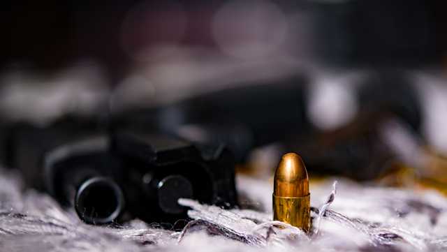 Revised gun control bills filed for NM 2024 legislative session - Vimarsana News