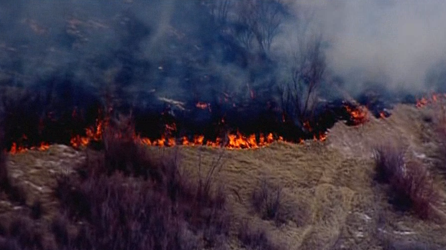 28 acres burned in southwest Albuquerque fire