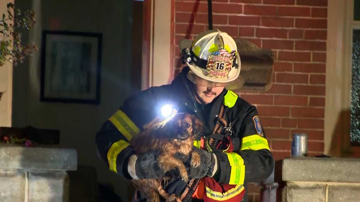 Neighbors rescue woman, dogs from burning PA home