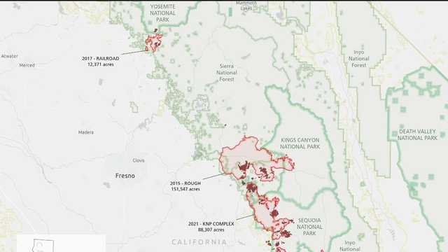 Catastrophic wildfires destroyed 19% of the Sequoias in the U.S. - Vimarsana News