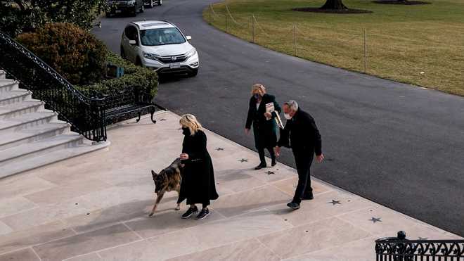 First&#x20;dogs&#x20;Champ&#x20;and&#x20;Major&#x20;moved&#x20;into&#x20;the&#x20;White&#x20;House&#x20;Sunday
