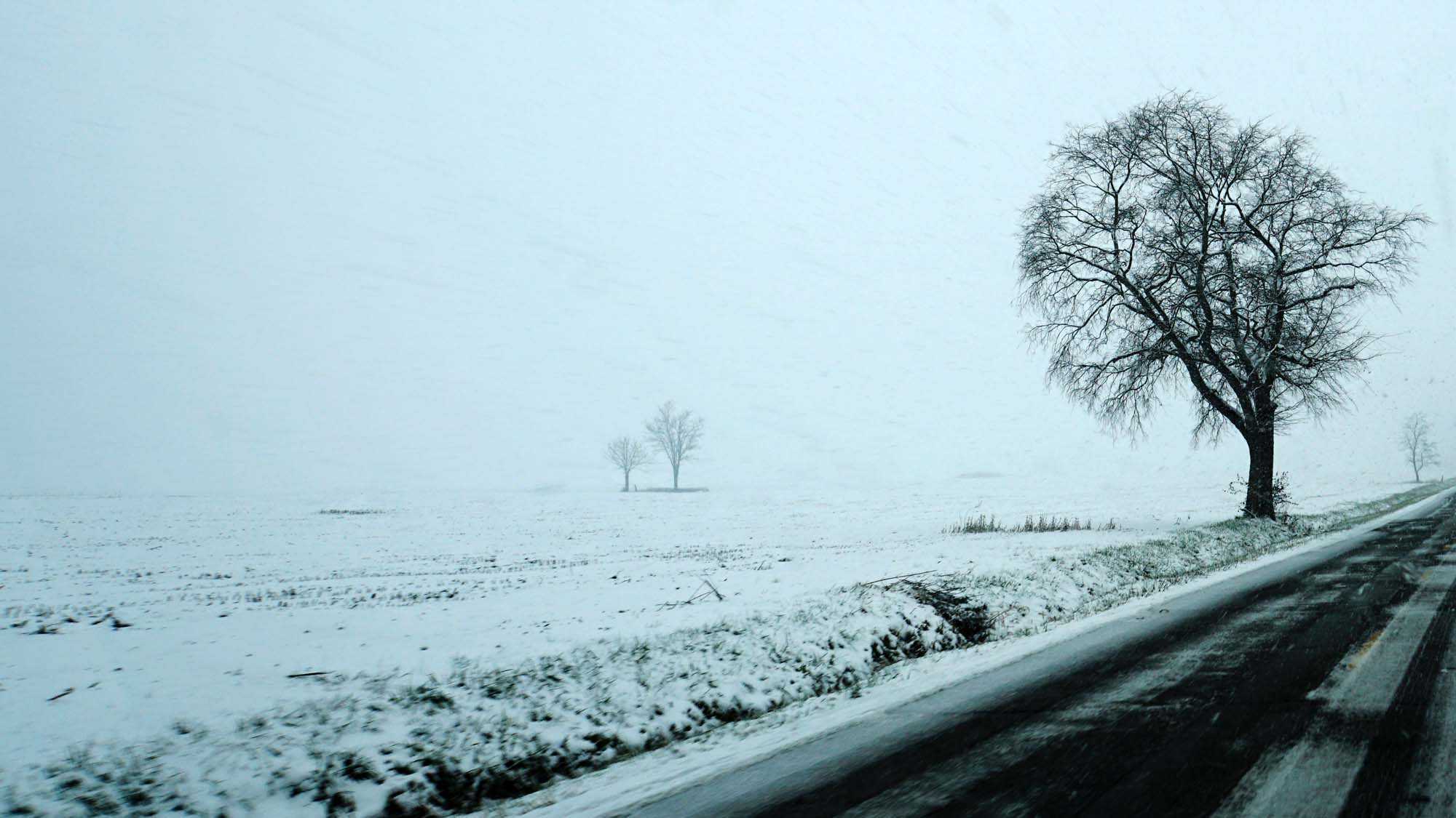 Photos: First Accumulating Snow Of The Season