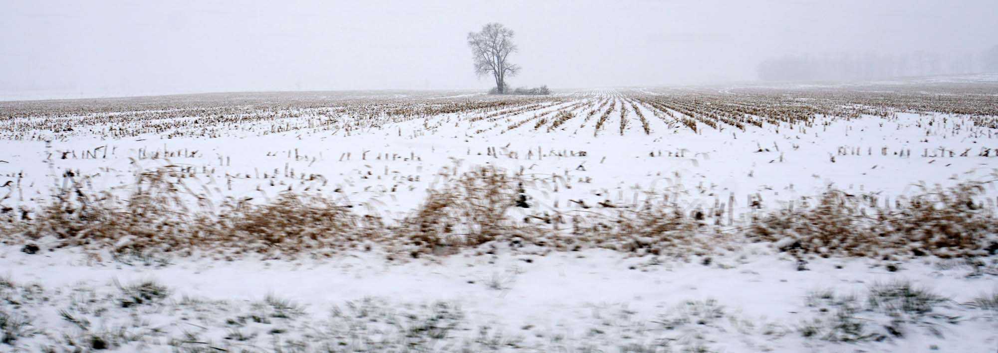 Photos: First Accumulating Snow Of The Season