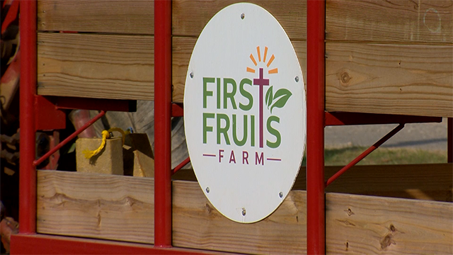 Freeland farm gives away harvest to charities across Maryland