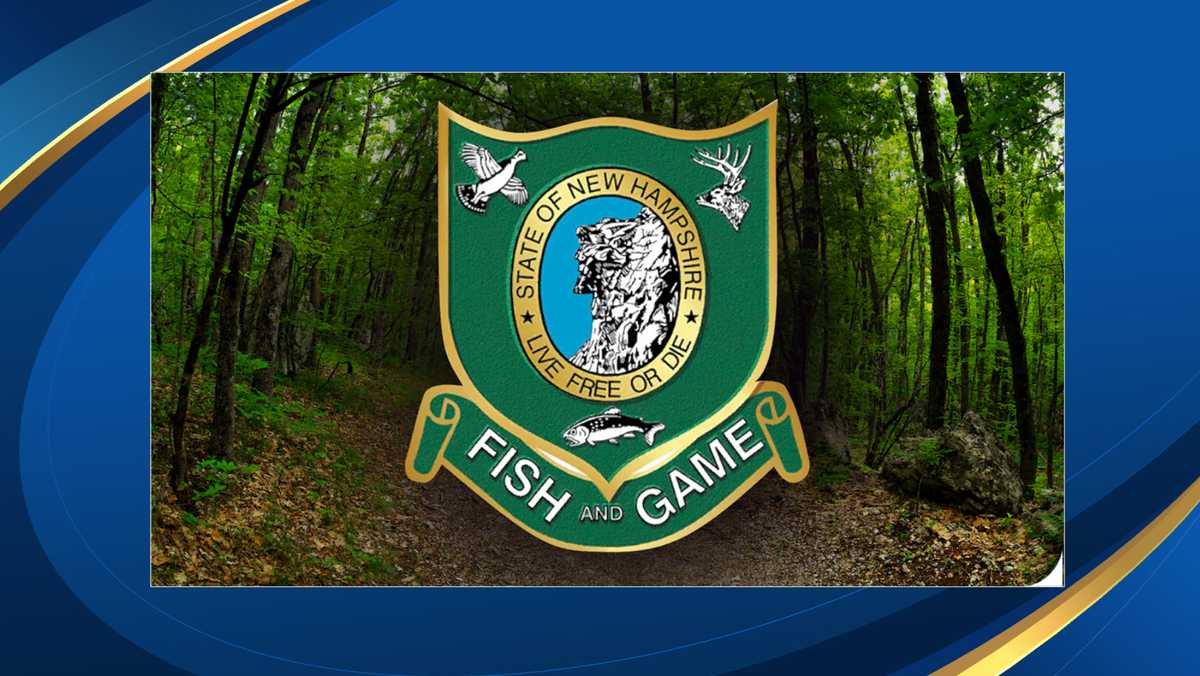 New Hampshire deer hunting season gets underway