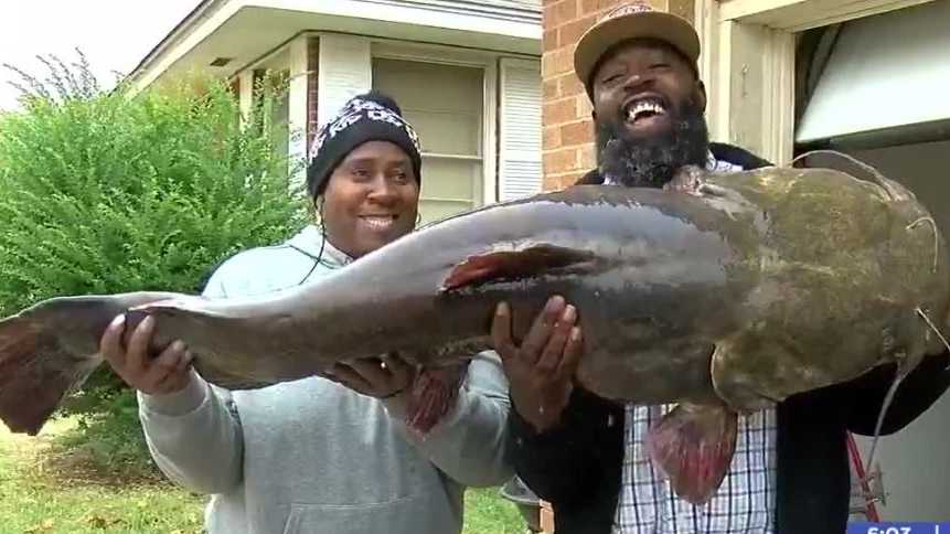 An Oklahoma fisherman captured a monster, 60-pound catfish over the weekend.