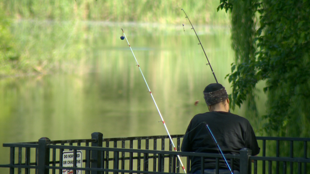Hooked On Fishing Not Violence: Sacramento nonprofit hopes to teach patience - Vimarsana News